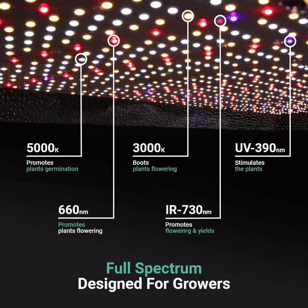 Growealth G3000 300W Vollspektrum-LED-Pflanzenlampe für Growboxen