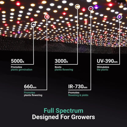 Growealth G3000 300W Vollspektrum-LED-Pflanzenlampe für Growboxen